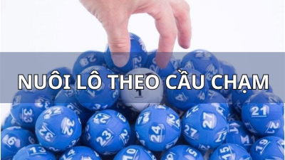 Nuôi lô theo cầu chạm - Cách nuôi lô chắc thắng từ cao thủ