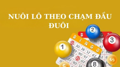 Nuôi lô theo chạm đầu đuôi - Bí kíp đánh đề chắc ăn 100%