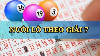 Nuôi lô theo giải 7 - Tổng hợp phương pháp nuôi lô hiệu quả cao