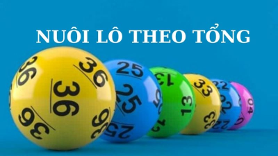 Nuôi lô theo tổng - Chiến thuật nuôi lô dễ trúng cho lô thủ