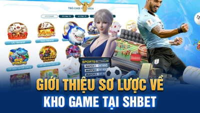 Sân chơi giải trí Shbet: Lựa chọn số 1 cho mọi game thủ